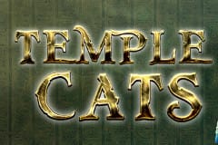 Tragamonedas 
Temple Cats