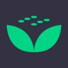 MintDice Casino Online