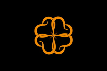 Zevcasino.com Casino Online