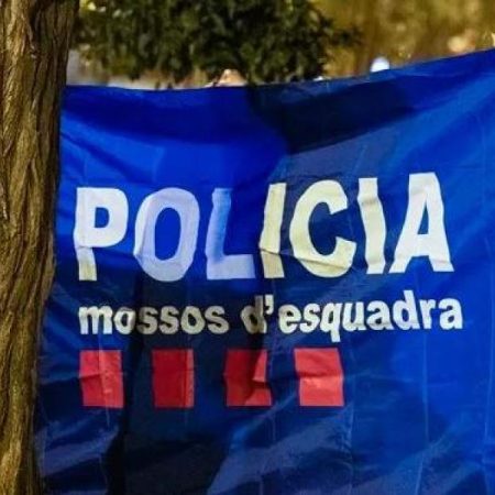 The Mossos enable a search engine on their website to return a thousand stolen and recovered mobiles: check if yours is yours