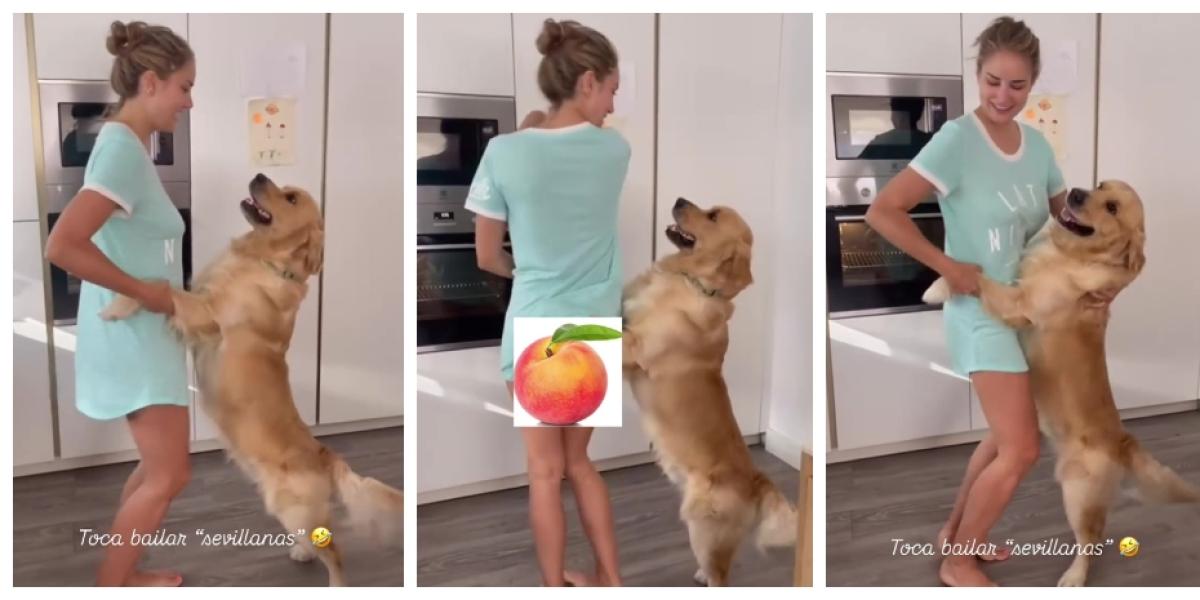 El Golden Retriever que ha conquistado a las redes por cómo reacciona al bailar sevillanas con su dueña 1 6890dd015e4a4