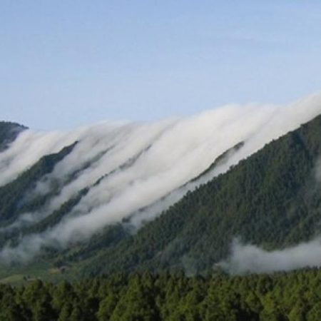 El Alisio, faithful guard of the Canary Islands, moderates the temperature rise