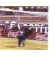 higuita