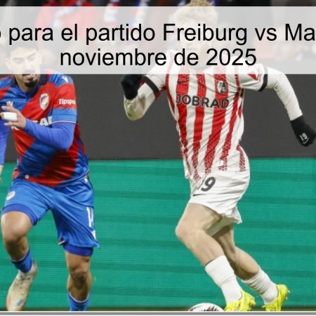 Pronóstico para el partido Freiburg vs Mainz – 30 de noviembre de 2025