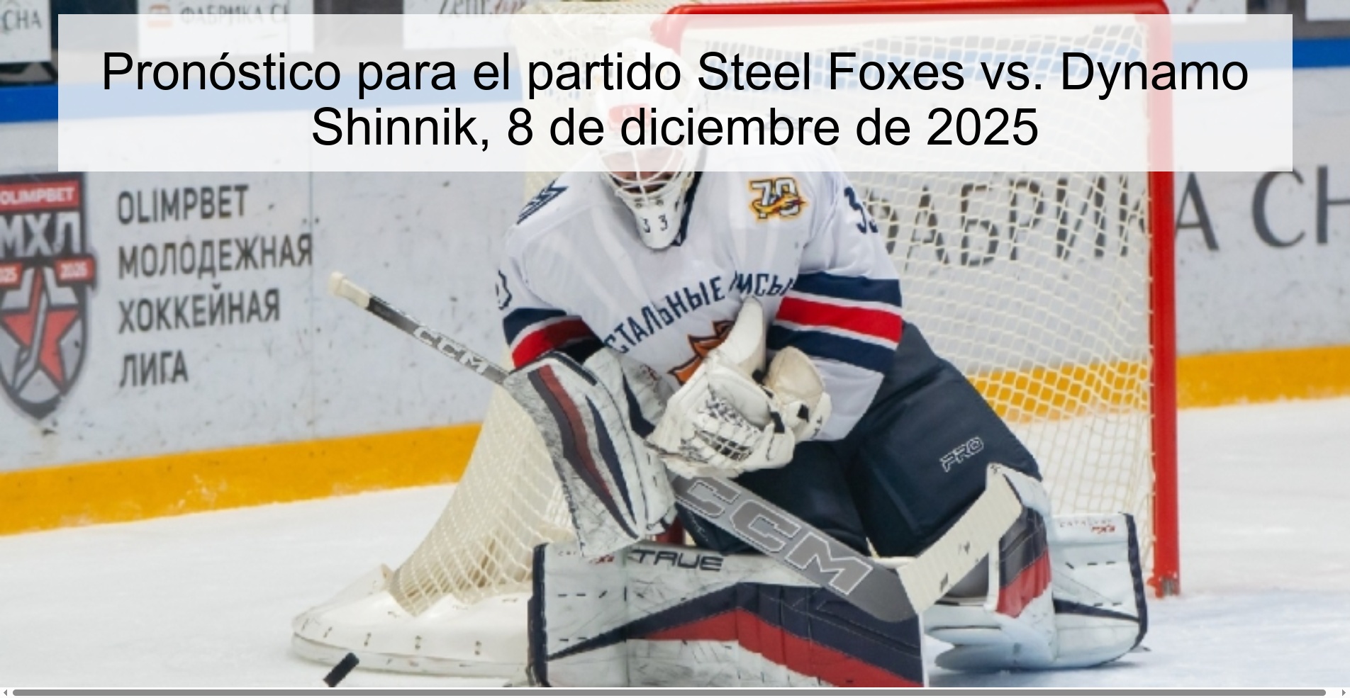 Prediction for the match Steel Foxes vs. Dynamo Shinnik, December 8, 2025