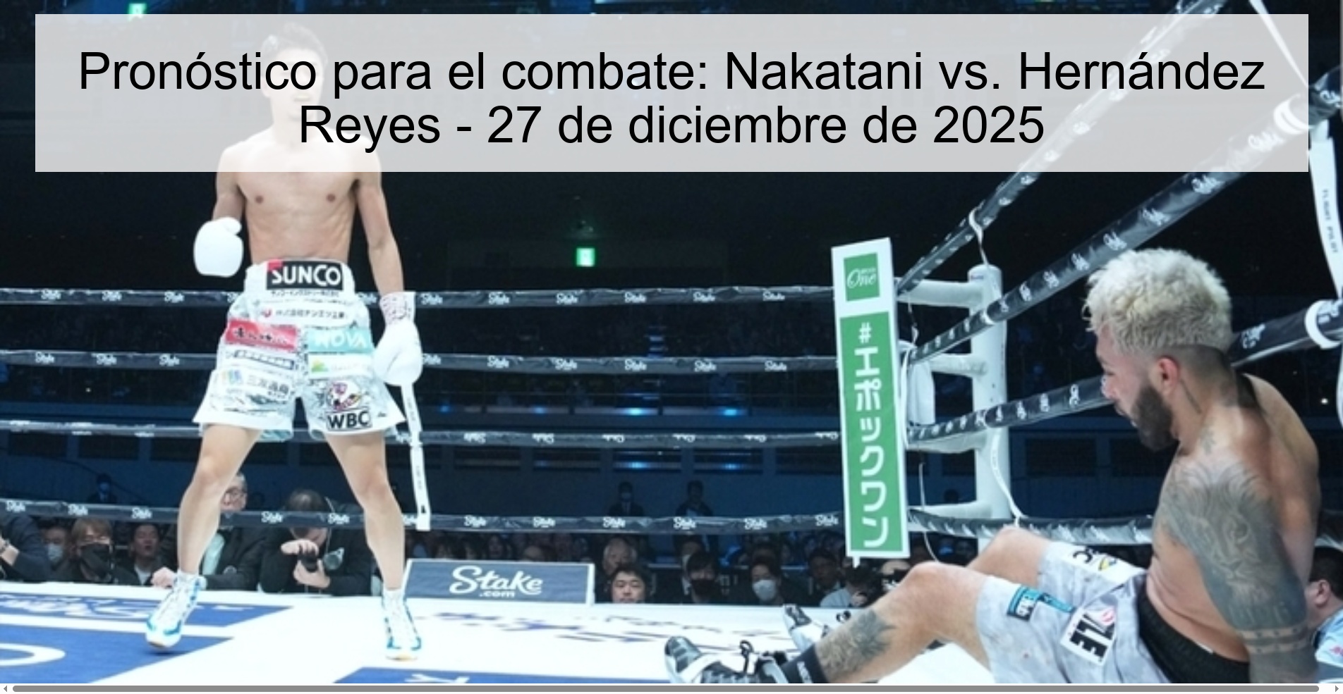 Pronóstico para el combate: Nakatani vs. Hernández Reyes - 27 de diciembre de 2025