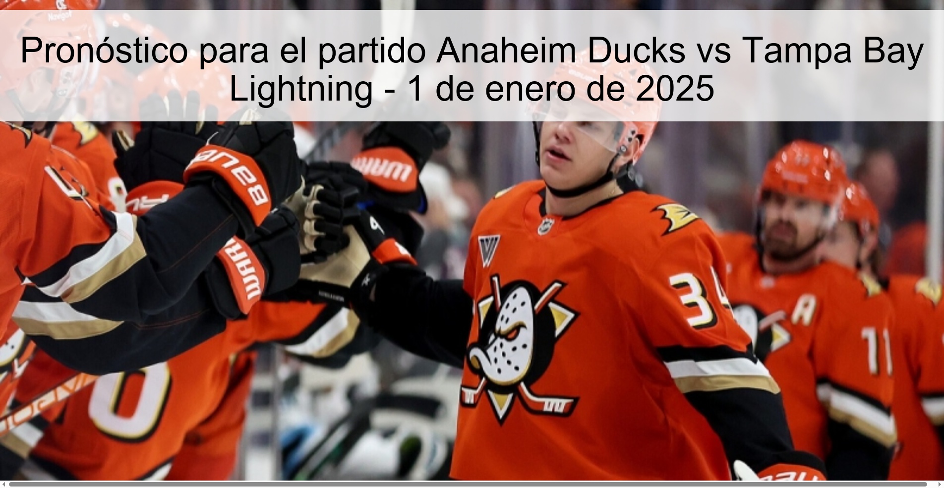 Prediction for the Anaheim Ducks vs Tampa Bay Lightning match - January 1, 2025
