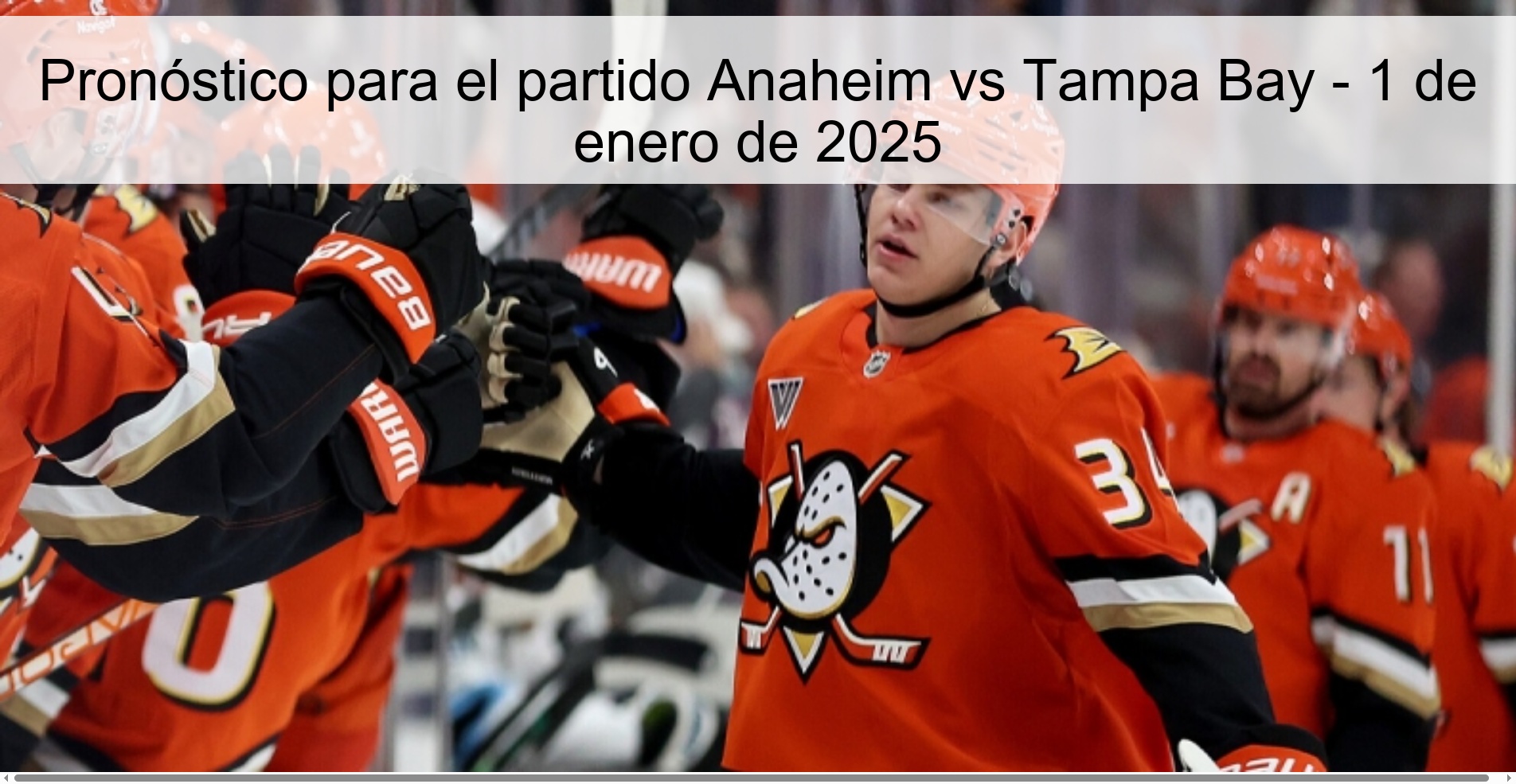 Prediction for the Anaheim vs Tampa Bay match - January 1, 2025