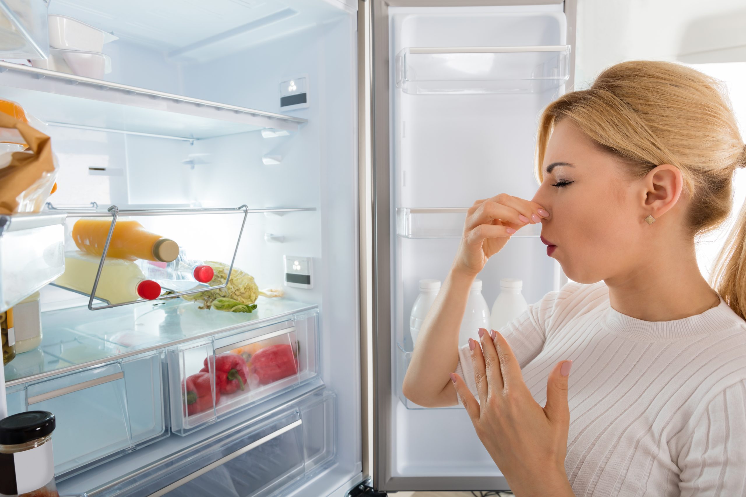 10 Tips to Keep Your Refrigerator Clean and Odor-Free in Just One Month