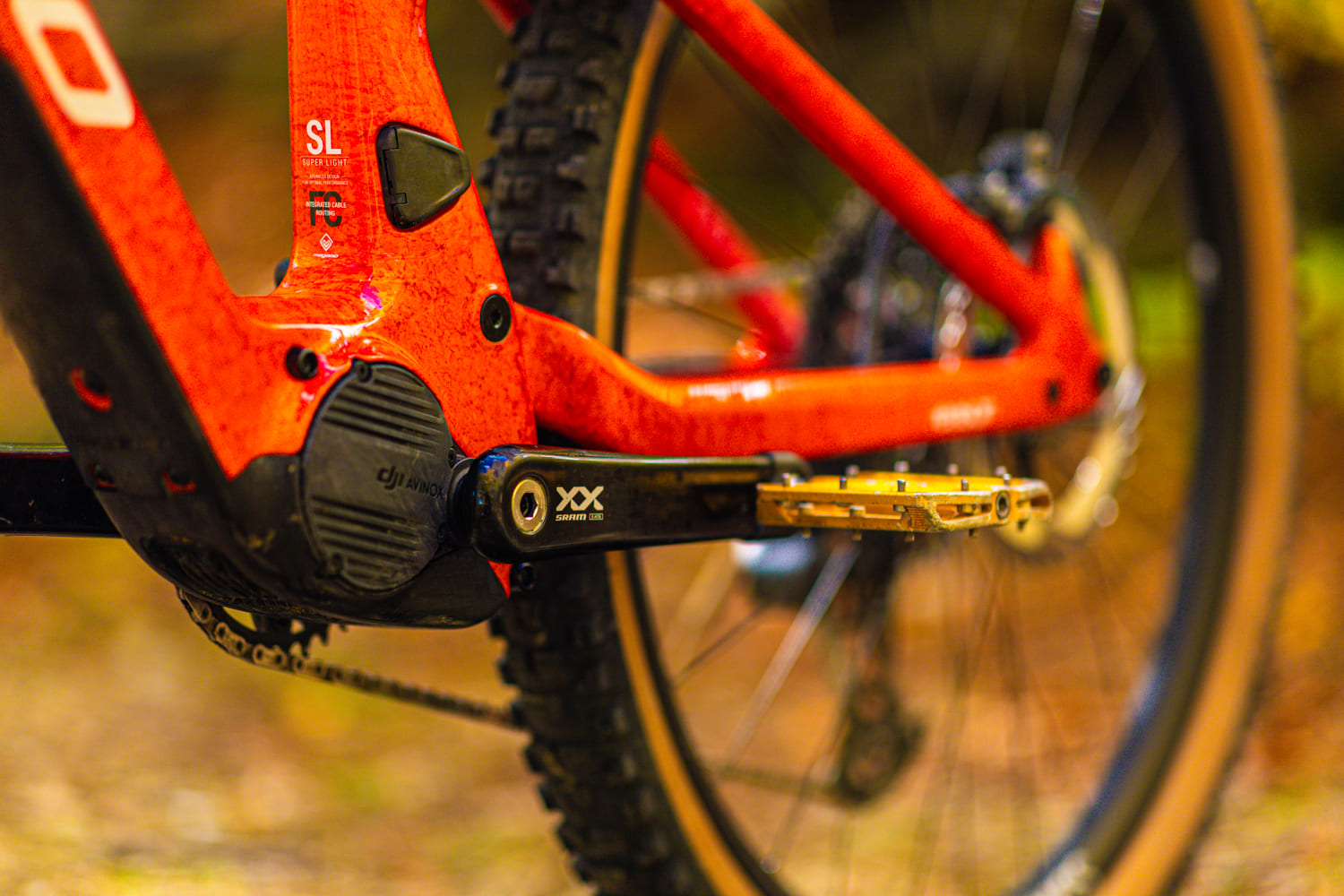 10 Essential Tips to Prolong the Life of your Ebike and Keep It in Perfect Condition