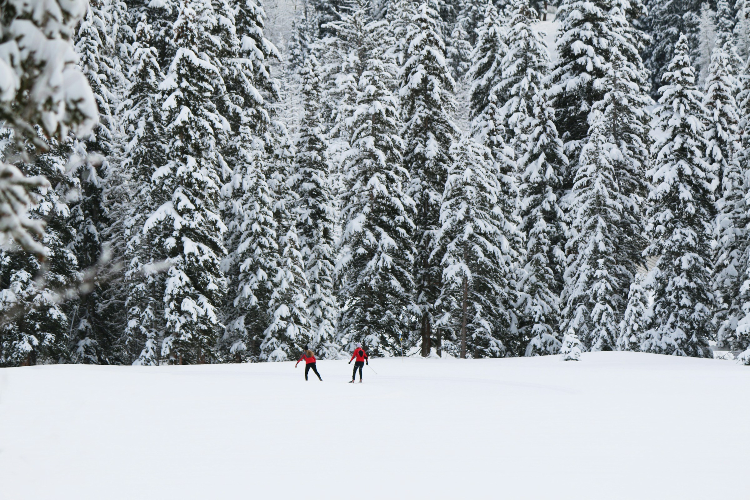 Cross Country Skiing: 10 Tips to Improve Your Performance and Enjoy the Snow