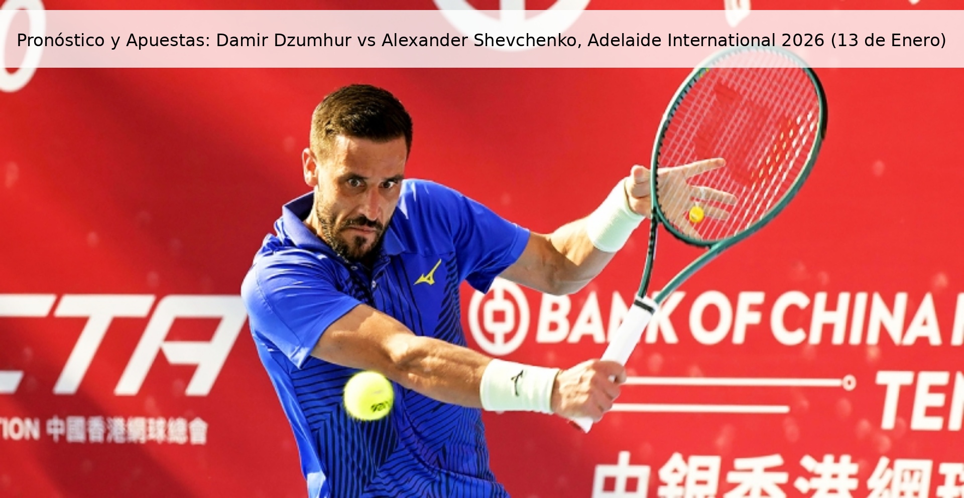 Prediction and Betting: Damir Dzumhur vs Alexander Shevchenko, Adelaide International 2026 (January 13)