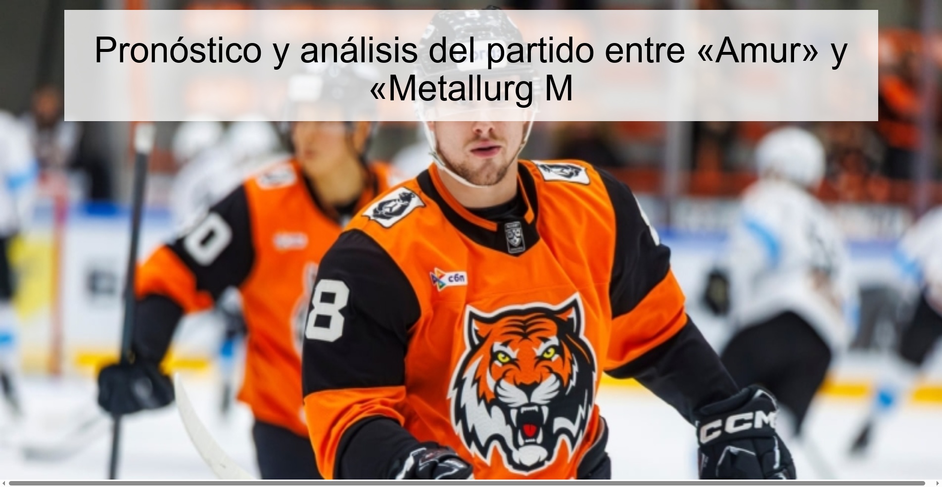 Forecast and analysis of the match between «Amur» and «Metallurg M