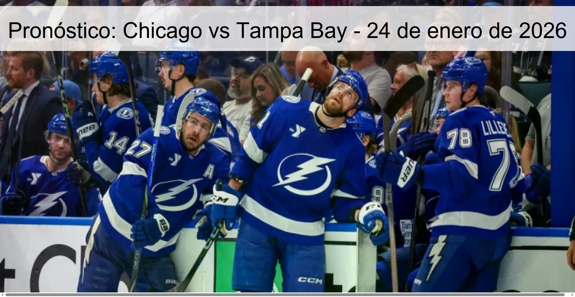 Prediction: Chicago vs Tampa Bay - January 24, 2026