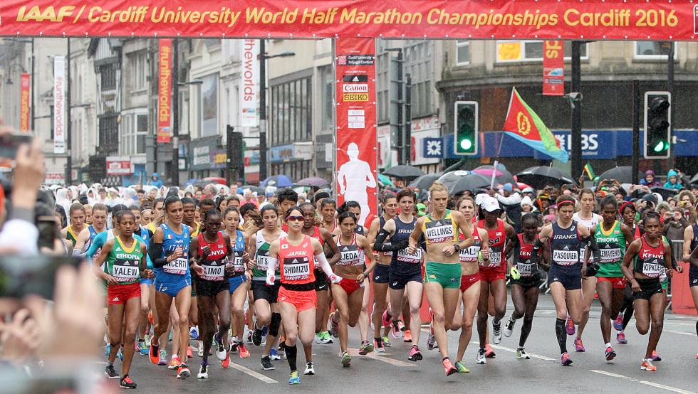 The 4 Best International Half Marathons in 2026: Get Your Number Today! The 4 Best International Half Marathons in 2026: Get Your Number Today!