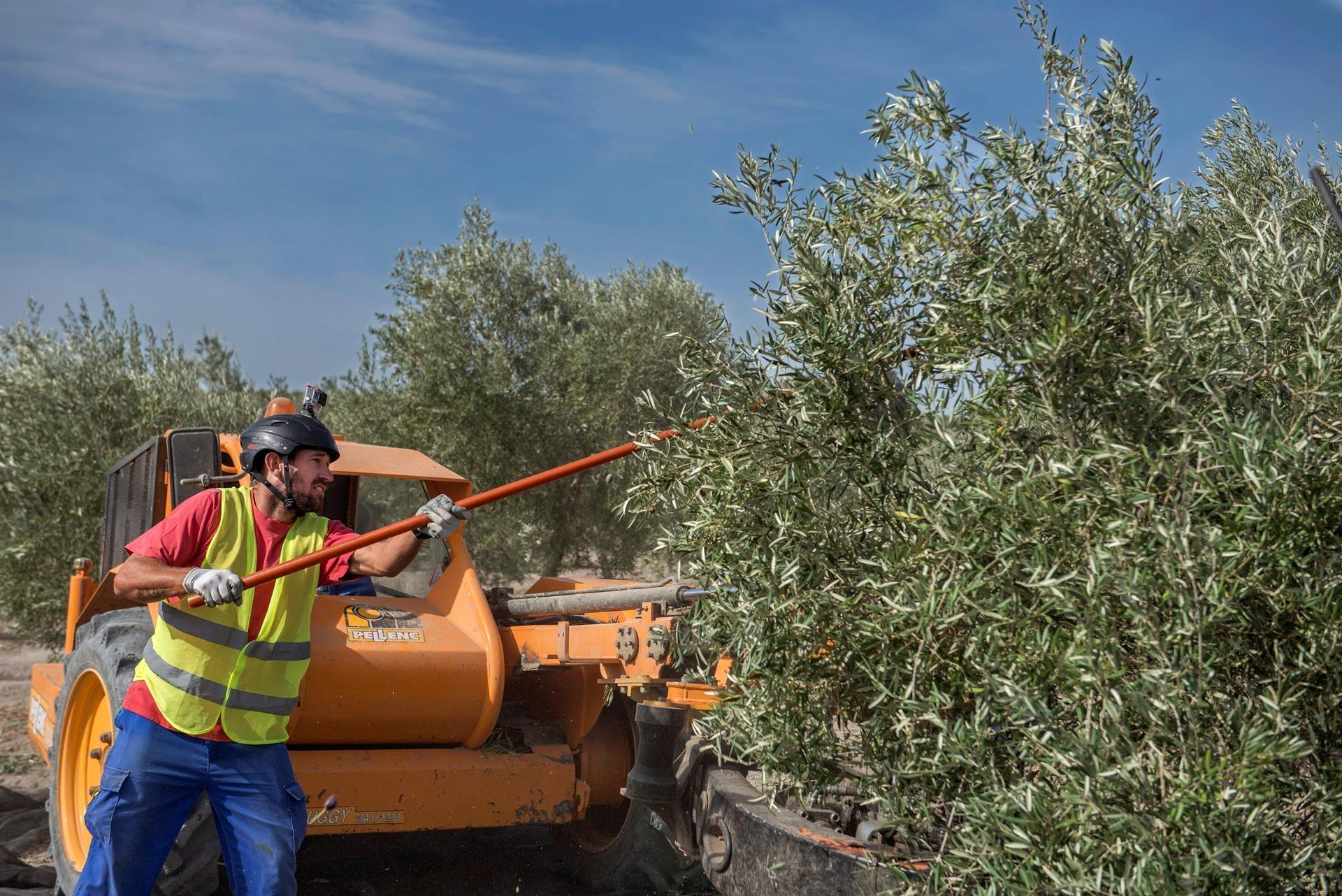 Inspecciones Laborales Causan Controversia entre Agricultores: ¿Es Justificada la Nueva Medida?