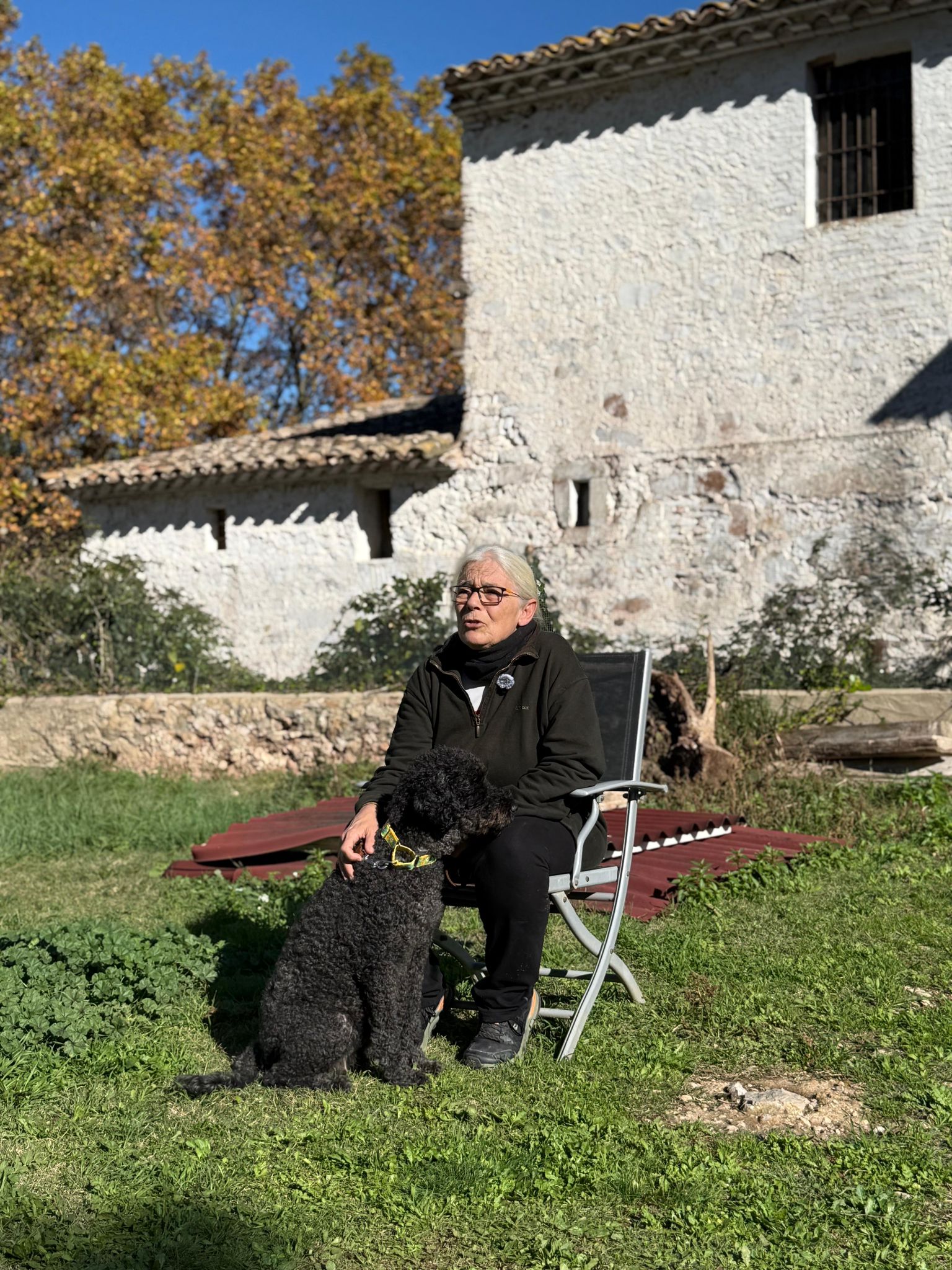 Spain fights against animal abandonment: a reality that cries out for more action and awareness