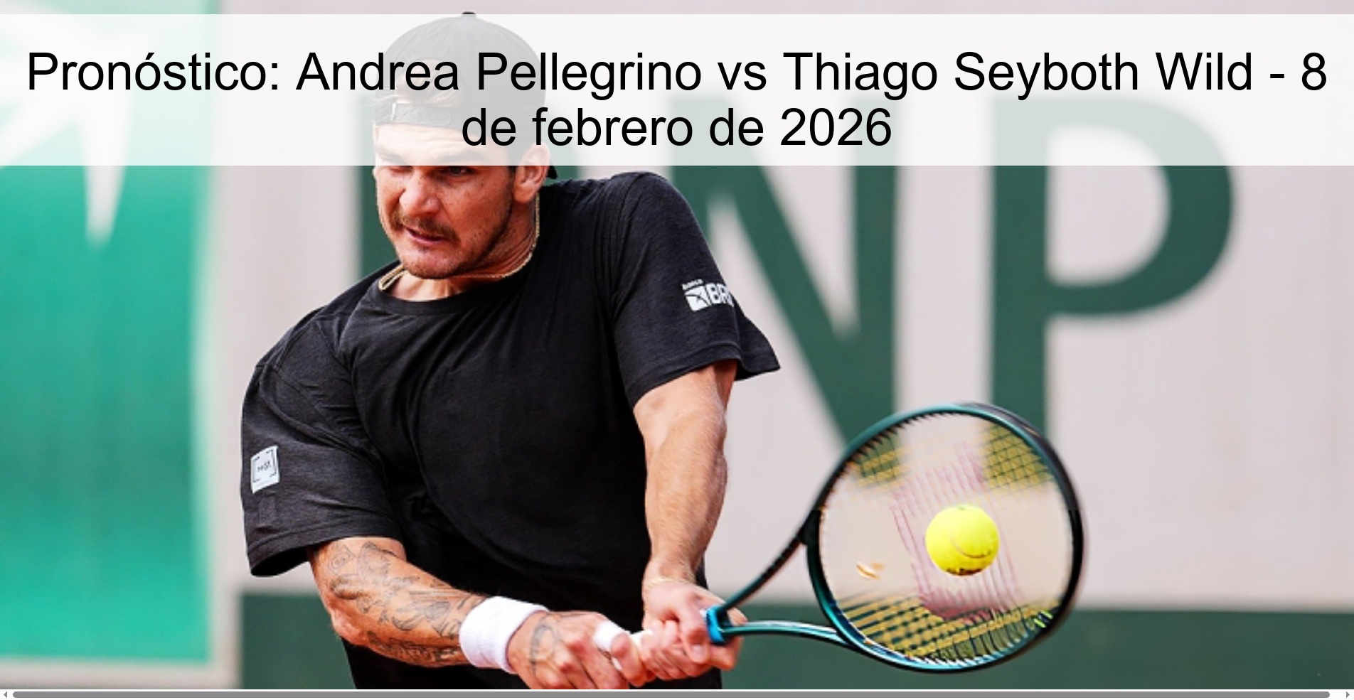 Pronóstico: Andrea Pellegrino vs Thiago Seyboth Wild - 8 de febrero de 2026