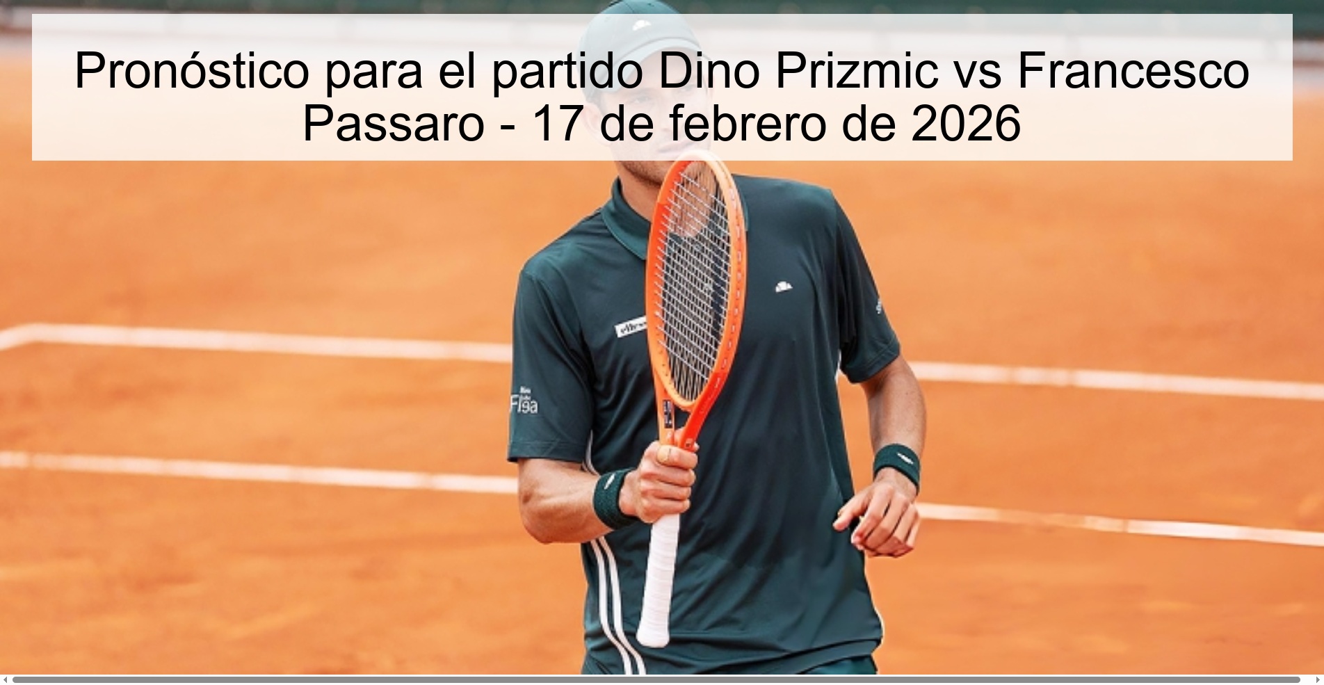 Pronóstico para el partido Dino Prizmic vs Francesco Passaro - 17 de febrero de 2026