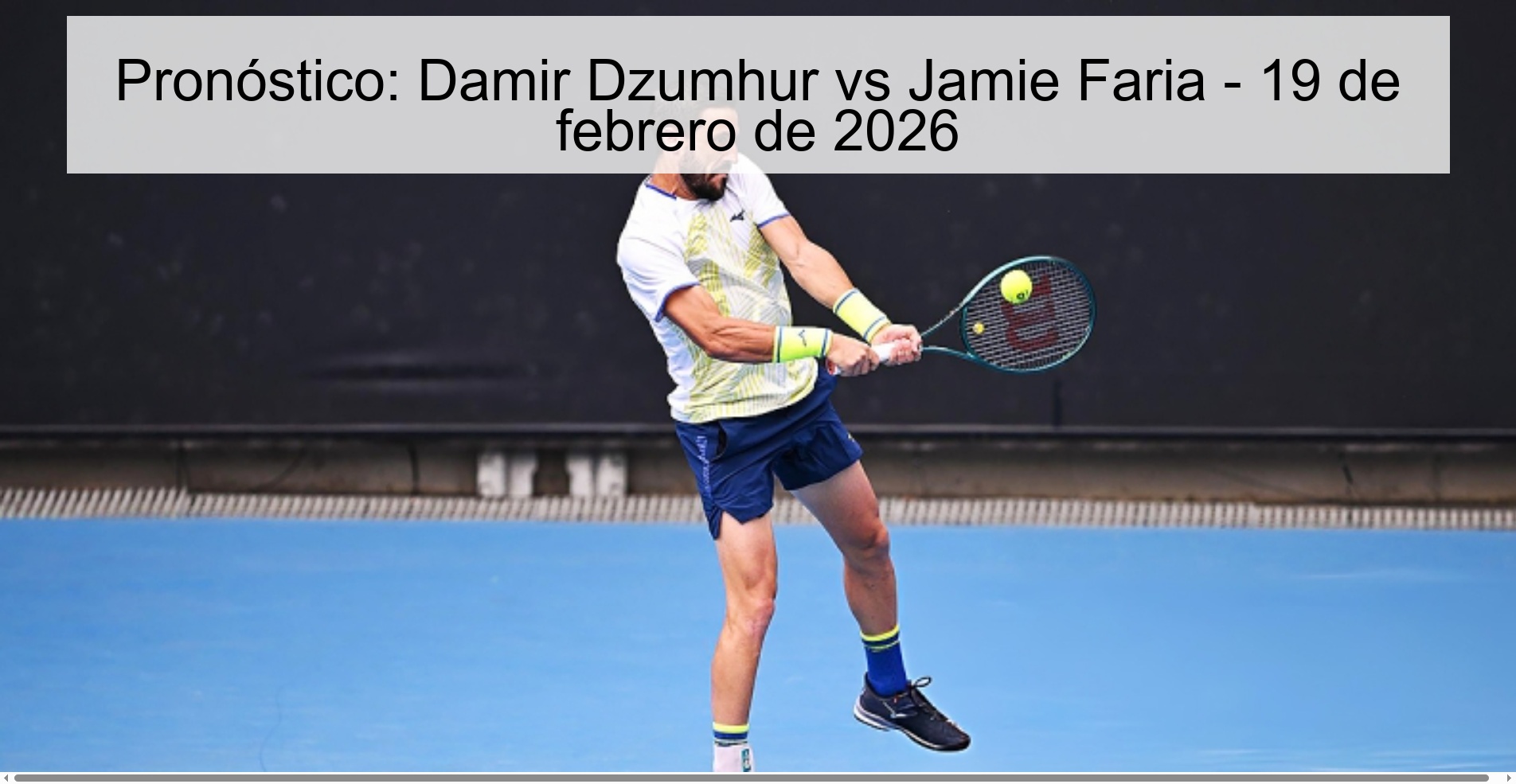 Prediction: Damir Dzumhur vs Jamie Faria – February 19, 2026