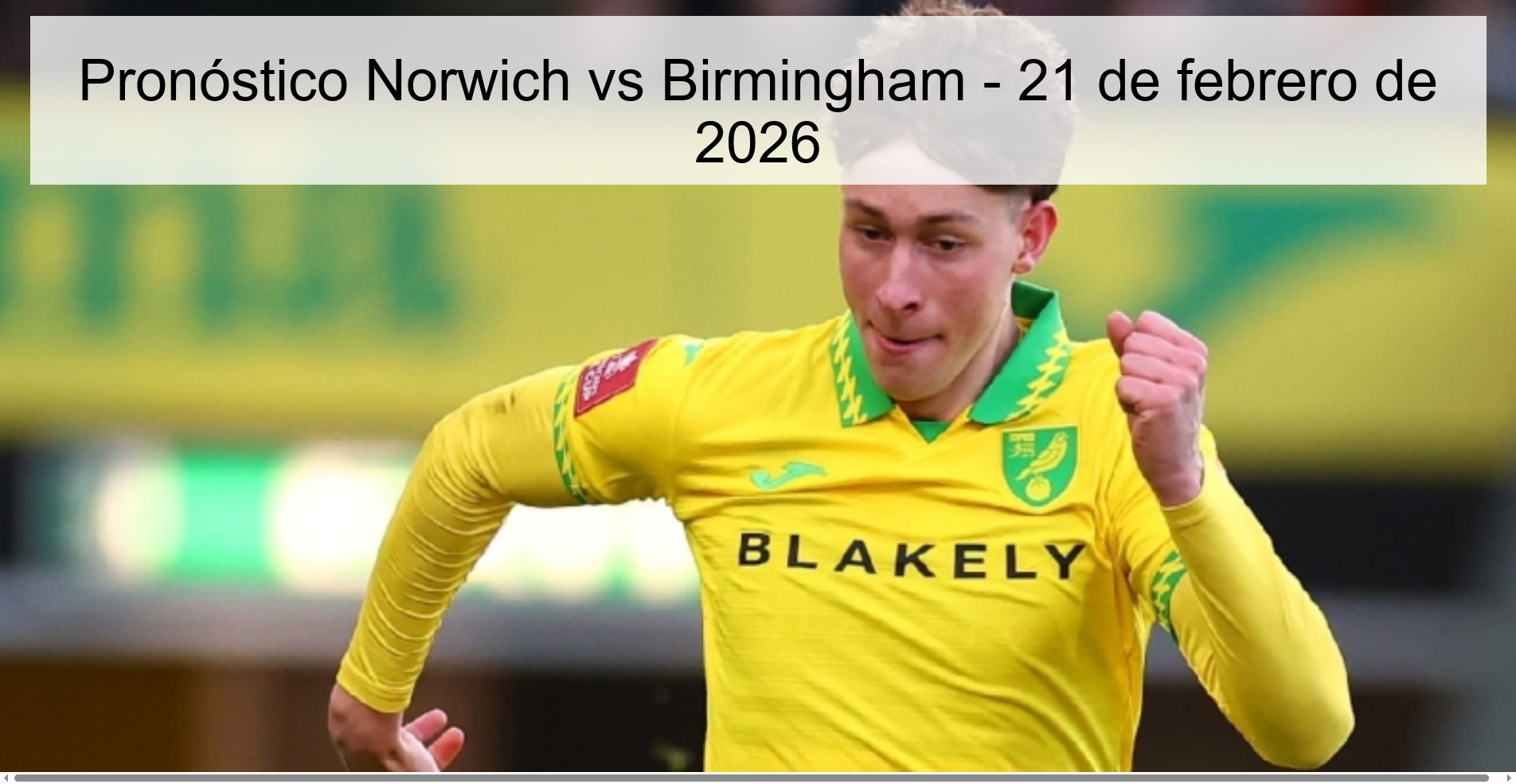 Norwich vs Birmingham Prediction – February 21, 2026