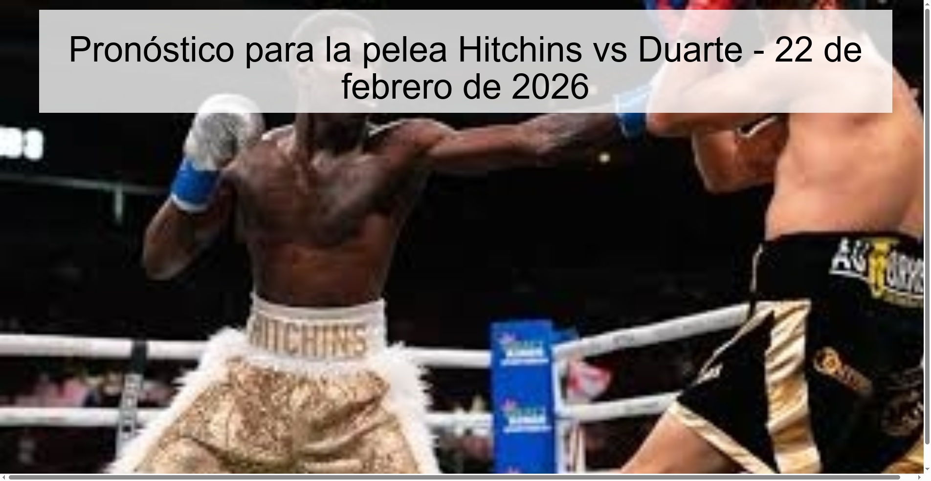 Prediction for the Hitchins vs Duarte fight – February 22, 2026