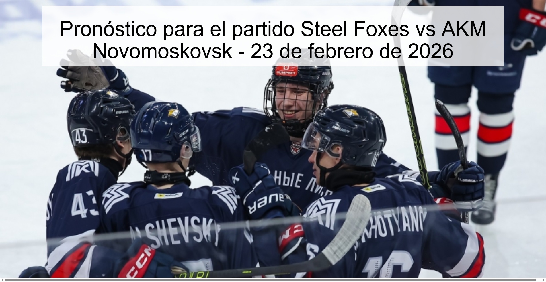 Pronóstico para el partido Steel Foxes vs AKM Novomoskovsk - 23 de febrero de 2026