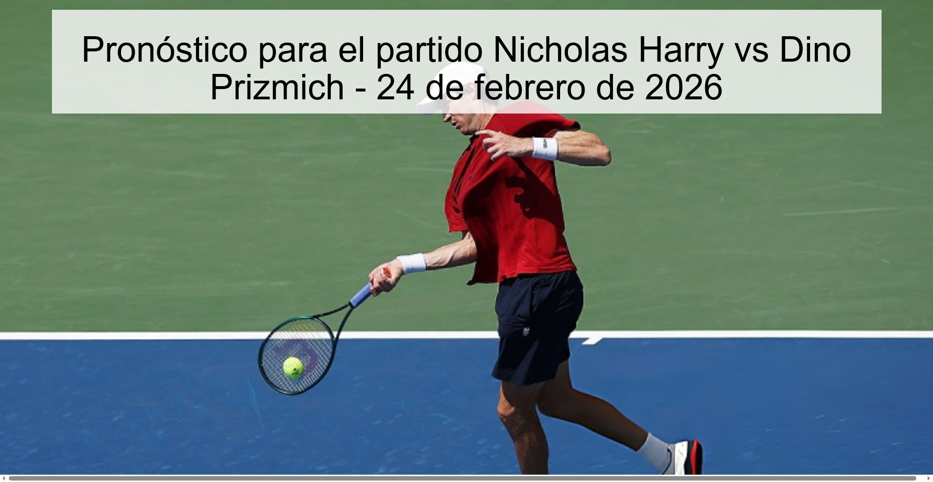 Prediction for the match Nicholas Harry vs Dino Prizmich - February 24, 2026