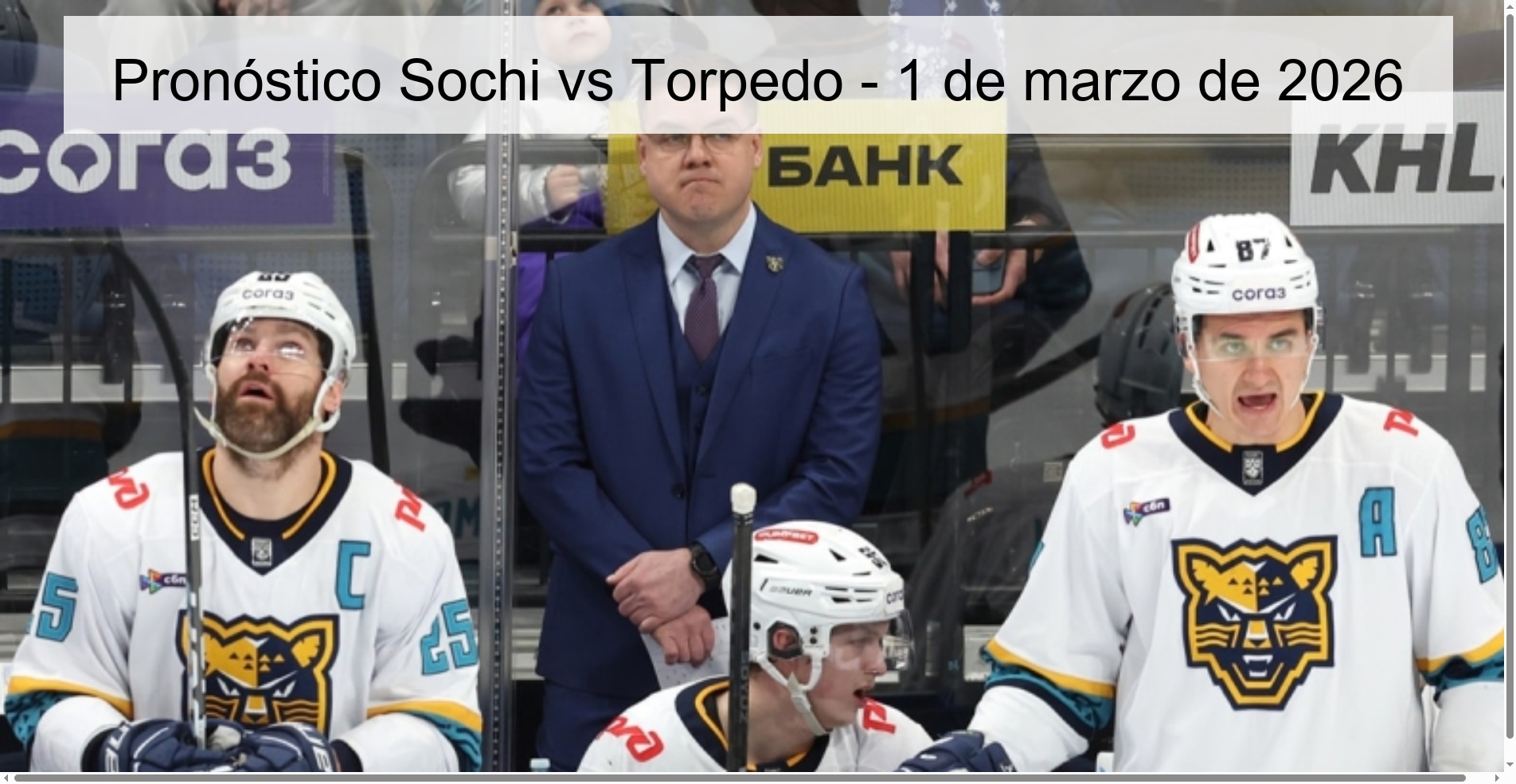 Pronóstico Sochi vs Torpedo - 1 de marzo de 2026