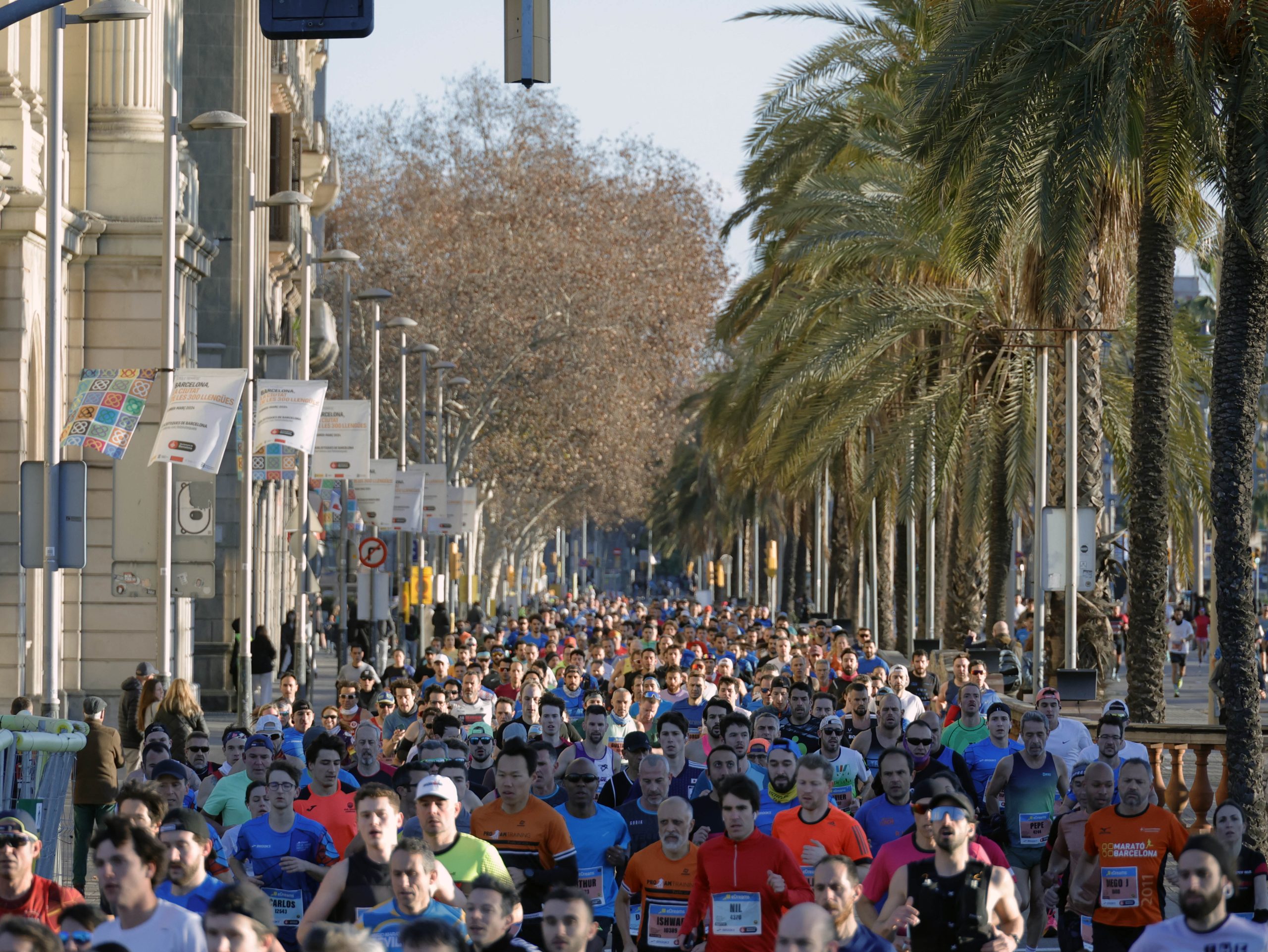 Barcelona Prepares for a Sunday of Records: The Mitja Marató Exceeds Expectations