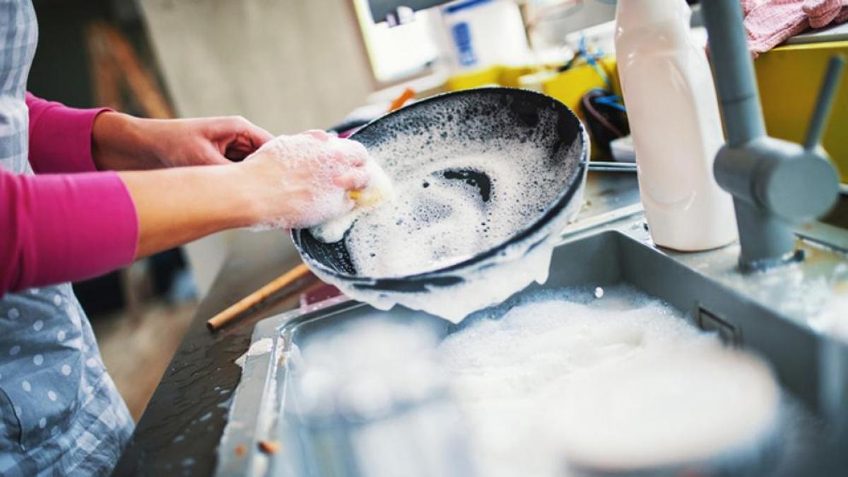 ¡La Esponja de Tu Cocina: Un Peligro Silencioso que Debes Combatir!