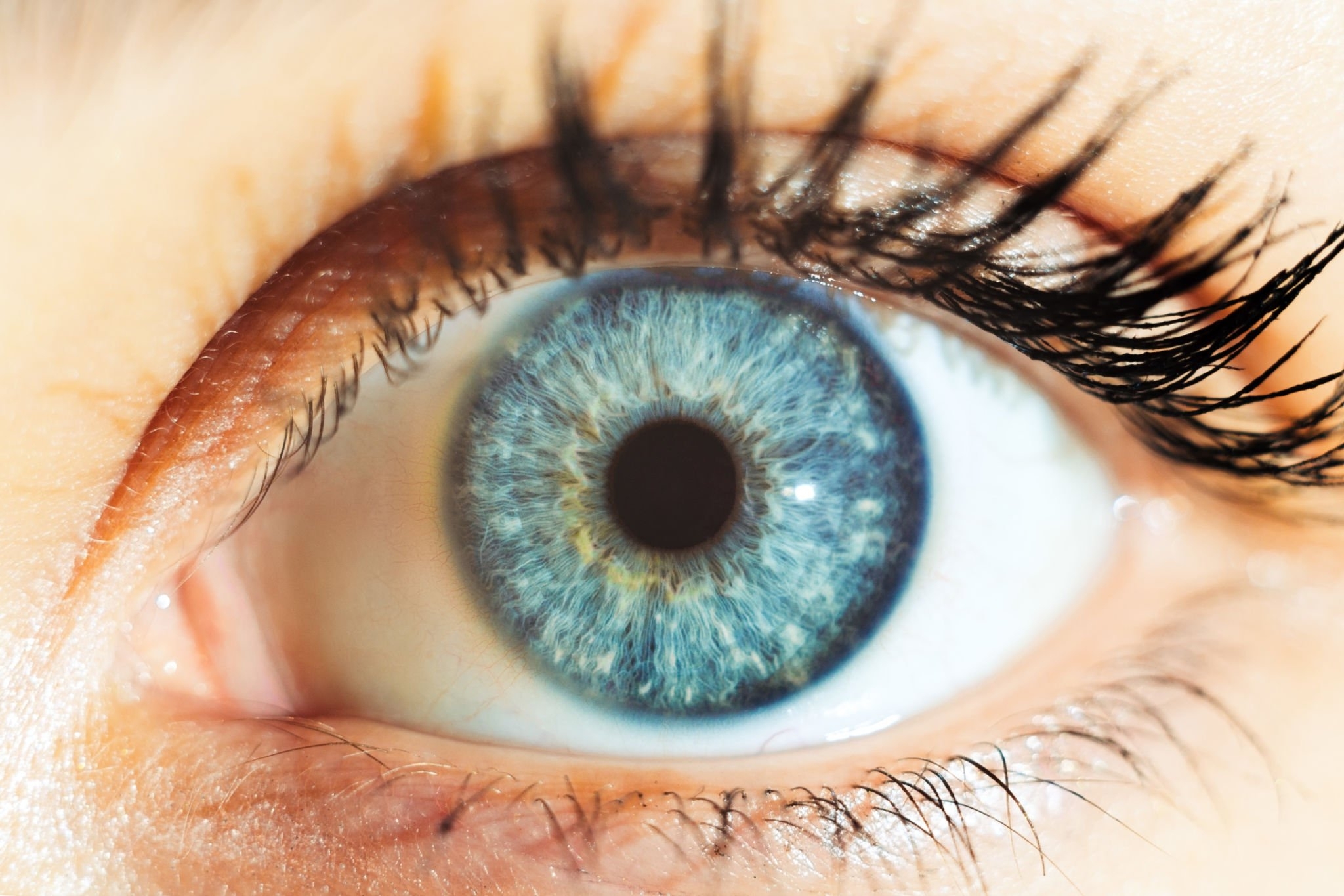 Why Do We See “Floating Flies”? The Medical Explanation That We All Should Know