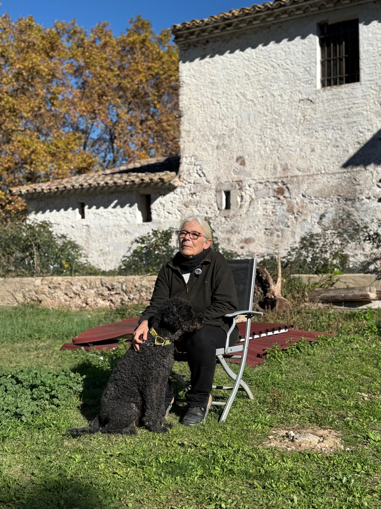 Vallirana becomes a refuge of hope for abandoned dogs and cats