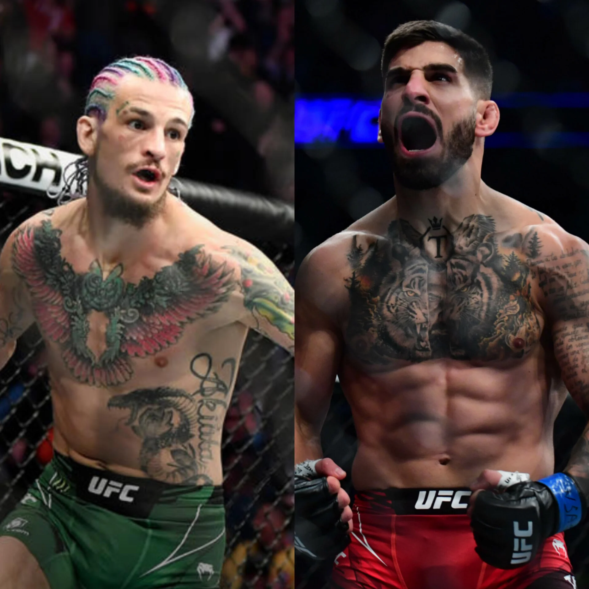 Ilia Topuria and Sean O'Malley: The unexpected turn of rivalry and respect in the UFC