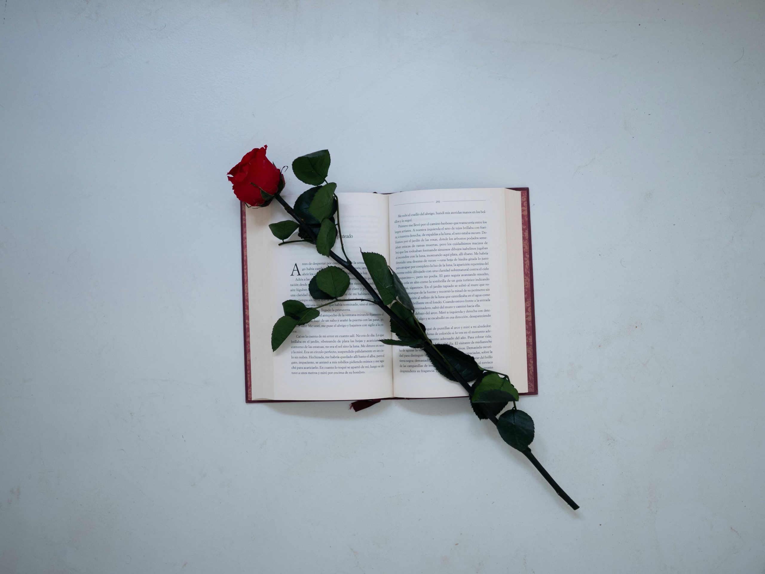 La Magia de Sant Jordi: Celebración del Amor y la Cultura en Cataluña La Magia de Sant Jordi: Celebración del Amor y la Cultura en Cataluña