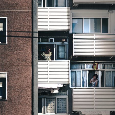 La convivencia entre mascotas y comunidades de vecinos: derechos y responsabilidades