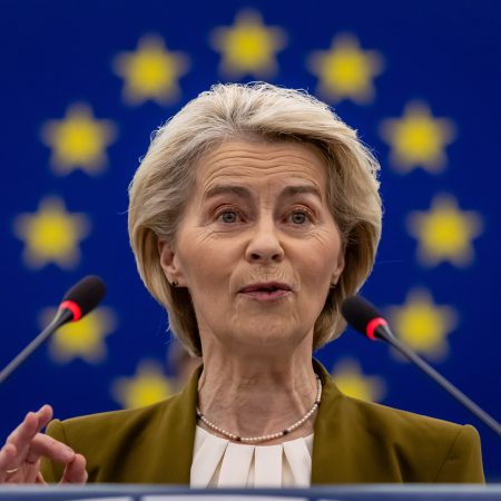 ¡Viajar con tu mascota en la UE se vuelve más estricto! Conoce las nuevas reglas y cómo evitar sorpresas.