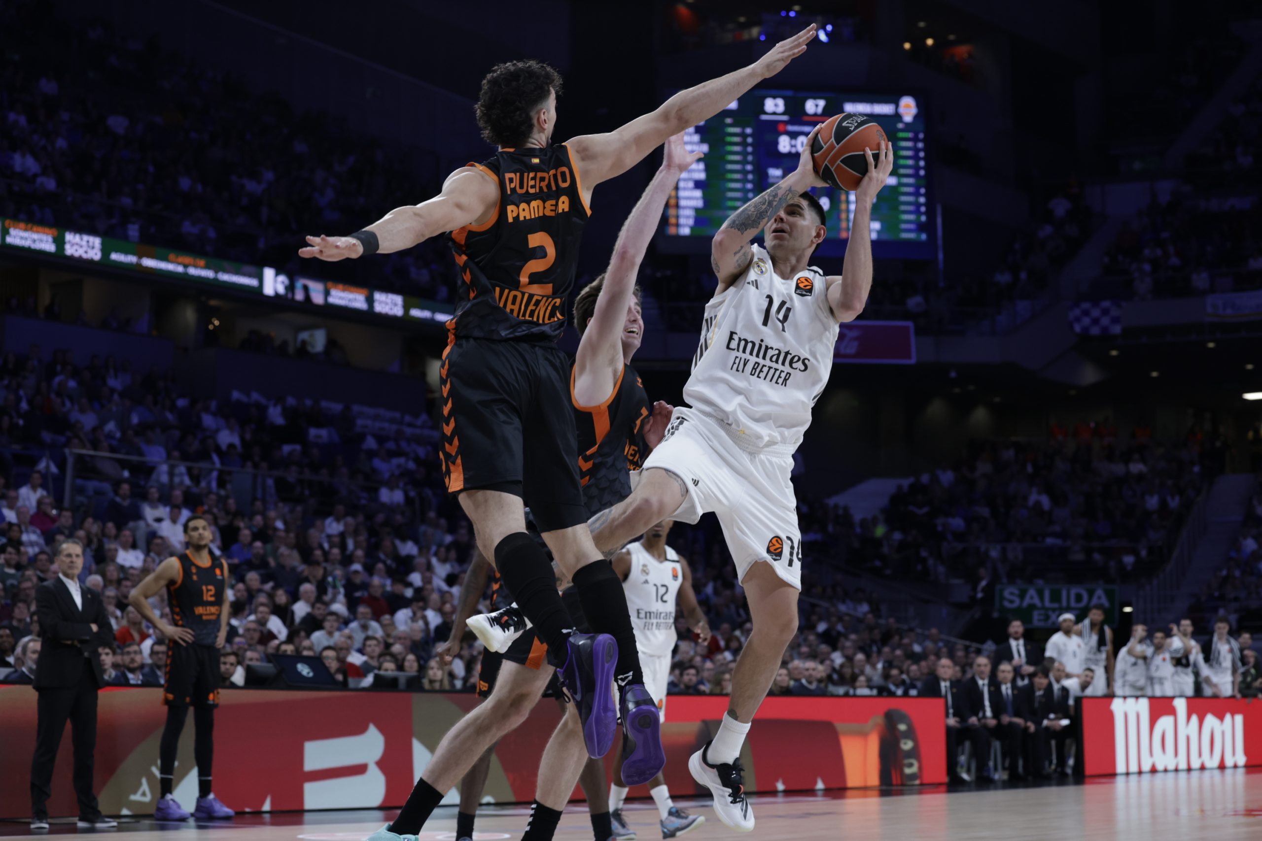 ¡Final de Infarto en la Euroliga! Real Madrid y Estrella Roja se Citan en un Duelo Decisivo por el Playoff