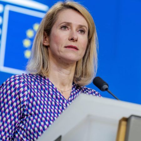 The European Parliament Approves a New Regulation to Protect Dogs and Cats in the EU