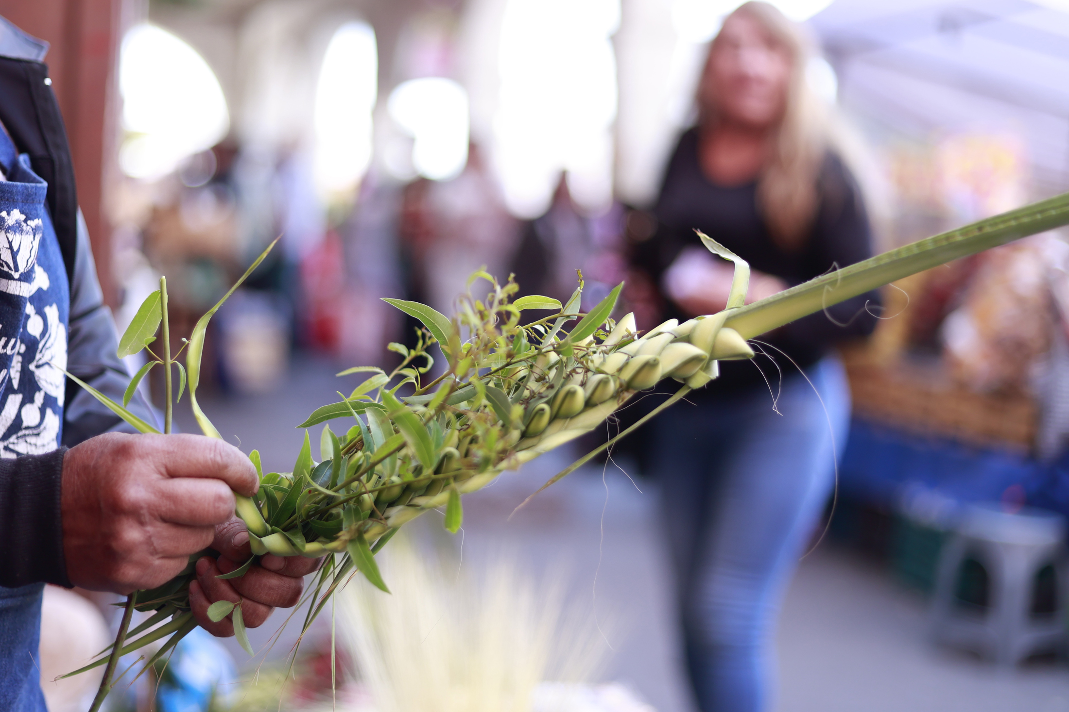 The Forgotten Art of Palm Sunday: Palms and Palms in Danger